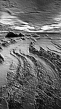 Skamielina