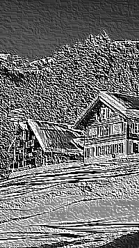 Skamielina