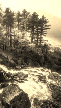 Szary + Sepia
