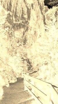 Sepia + Negatyw