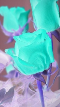 Negatyw