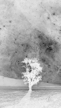 Szary + Negatyw