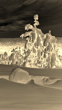 Sepia + Negatyw