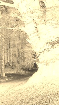 Sepia + Negatyw
