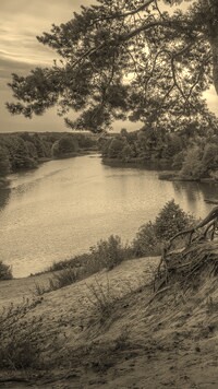 Sepia