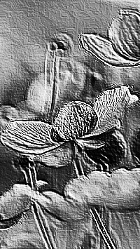 Skamielina