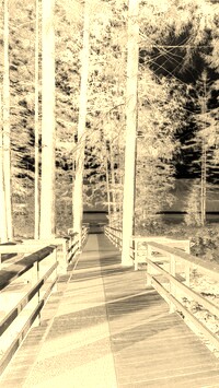 Sepia + Negatyw