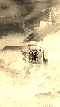 Sepia + Negatyw