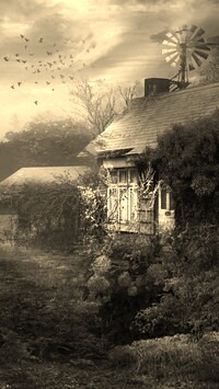 Szary + Sepia