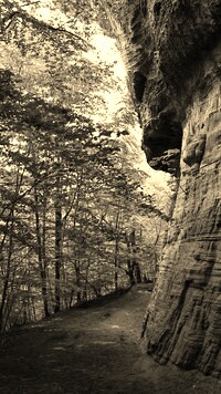 Sepia