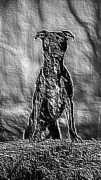 Skamielina