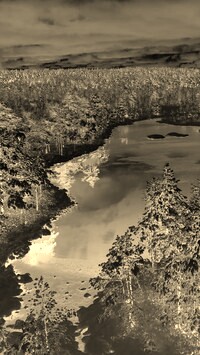 Sepia + Negatyw