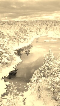 Sepia