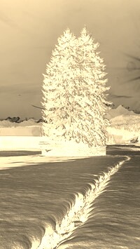 Sepia + Negatyw