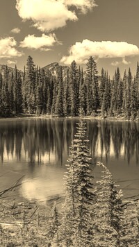 Sepia
