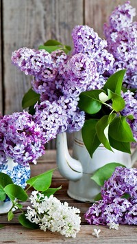 Oryginalny obrazek