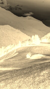 Sepia + Negatyw