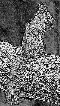 Skamielina