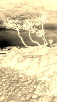 Sepia + Negatyw