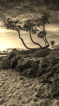 Sepia