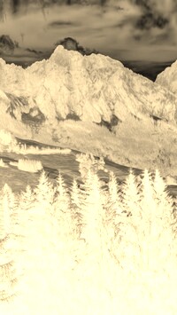 Sepia + Negatyw