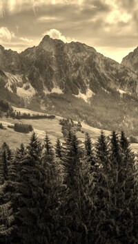 Szary + Sepia