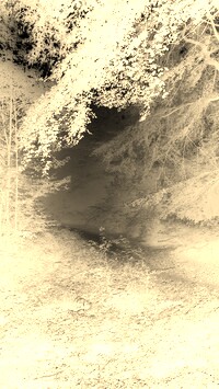 Sepia + Negatyw