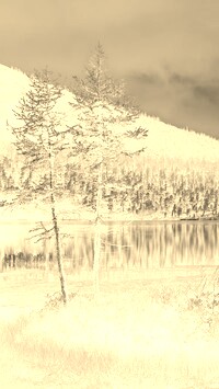 Sepia + Negatyw