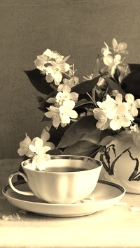 Szary + Sepia