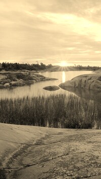 Sepia