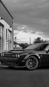 Szary