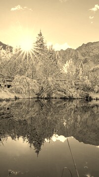 Szary + Sepia