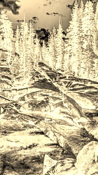 Sepia + Negatyw
