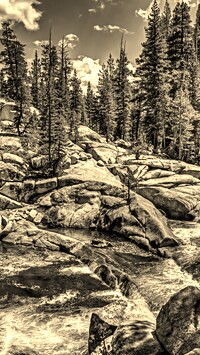 Szary + Sepia