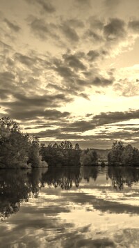 Szary + Sepia