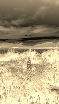Sepia + Negatyw