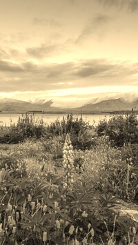 Sepia