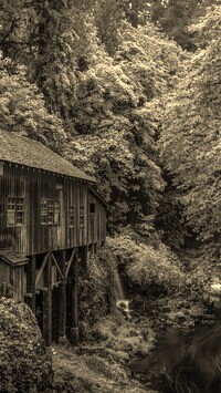 Szary + Sepia