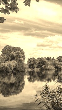 Sepia