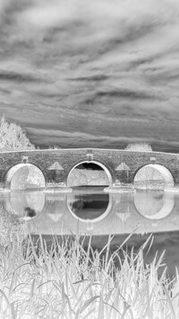 Szary + Negatyw