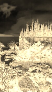 Sepia + Negatyw