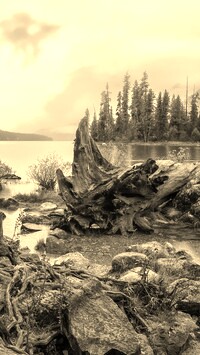 Szary + Sepia