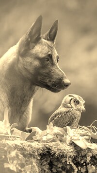 Sepia