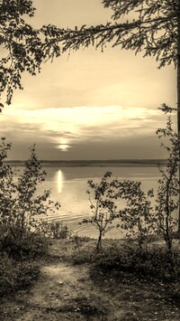 Szary + Sepia