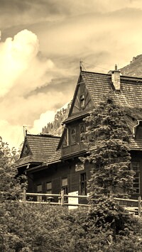 Szary + Sepia