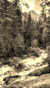 Sepia