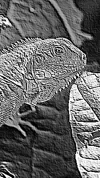 Skamielina