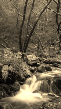 Sepia