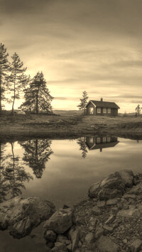 Sepia