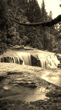 Sepia